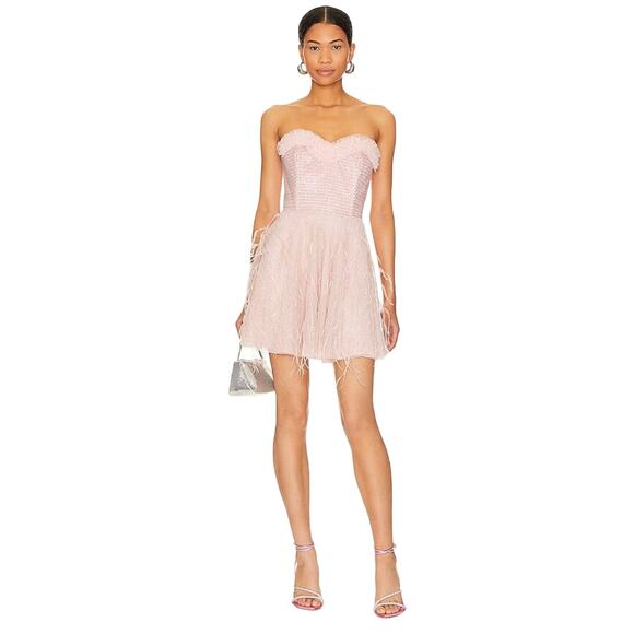 NWT LoveShackFancy Marvella Pink Rhinestone Netting Ostrich Feather Dress - Picture 1 of 11